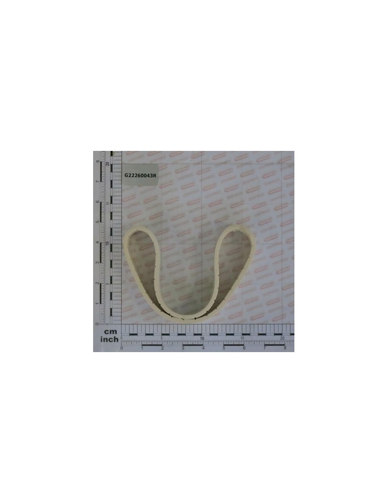 BELT NO HOLES HS300