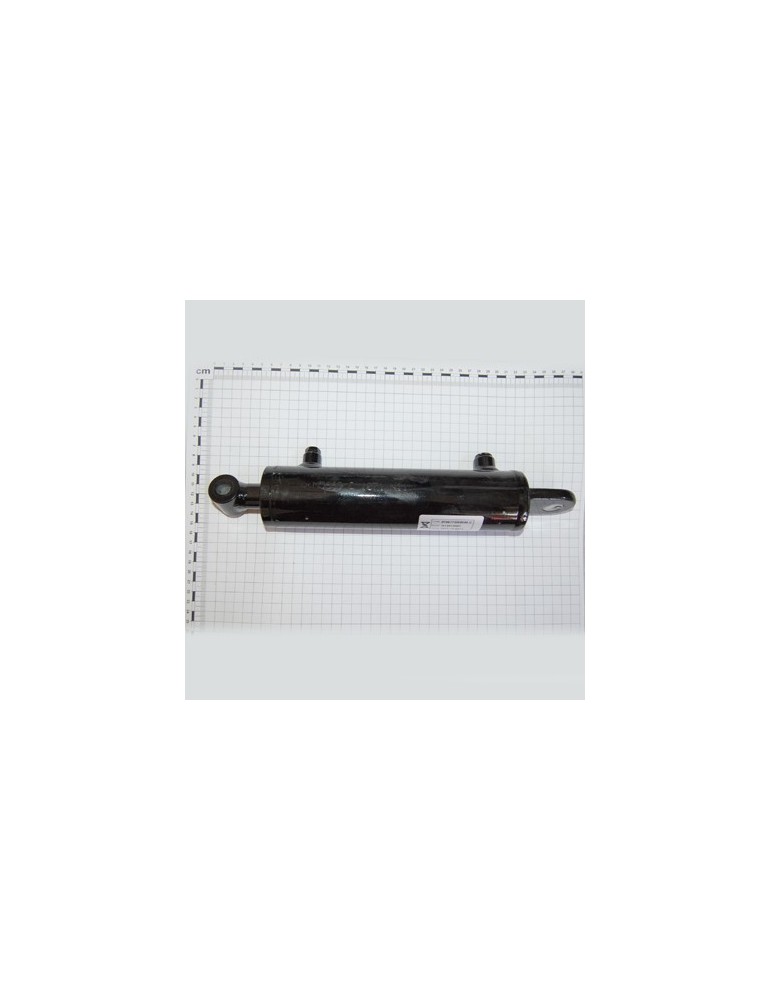 CYLINDER SE 50-25/135 BOSSED 1