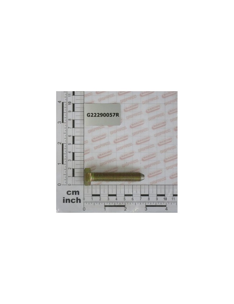 CHAIN TIGHTENER BOLT NO