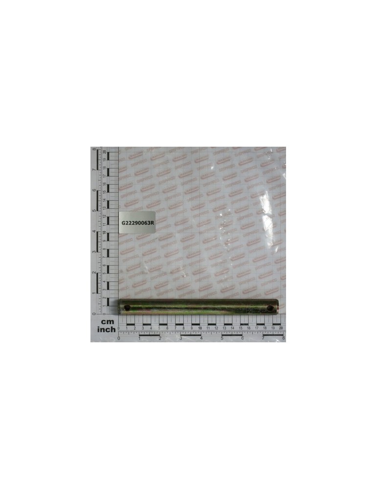 PIN CENTRAL CASE NO