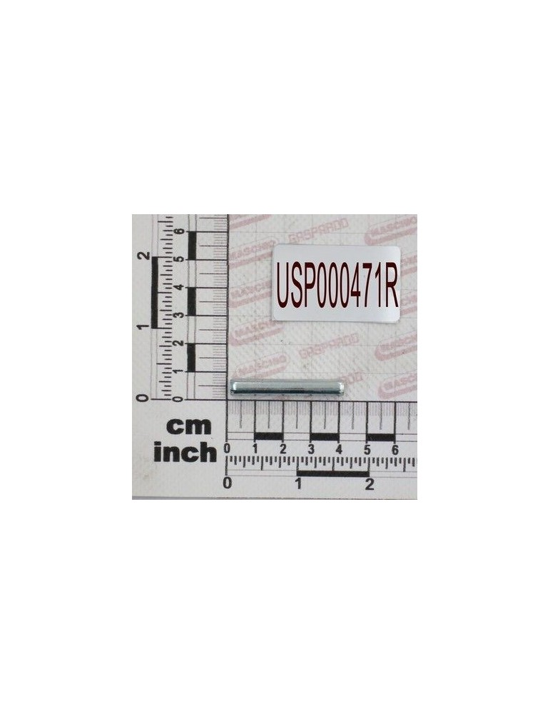 Maschio Gaspardo SPINA ELASTICA $6X40 UNI 6875 USP000471R