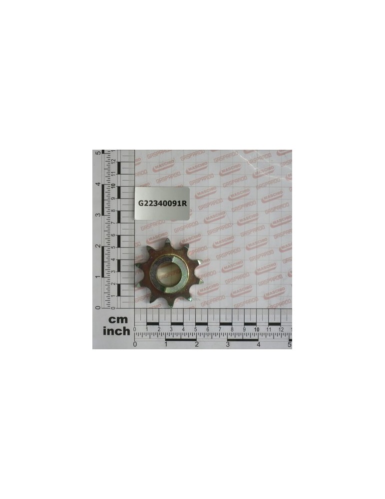 Z-10 COUPLING PINION MG