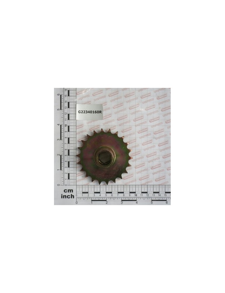 DISTRIB. Z-22 PINION MG