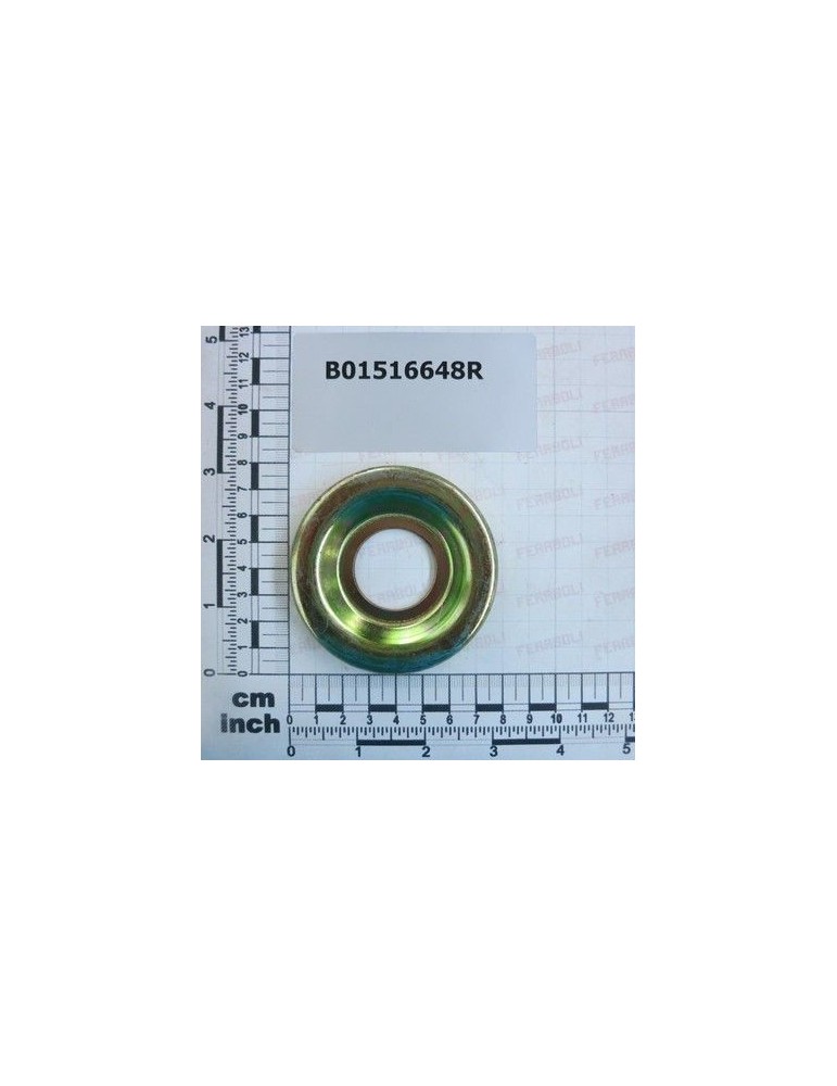 Maschio Gaspardo FONDELLO PROTEZ.SUPP.ROT. B01516648R