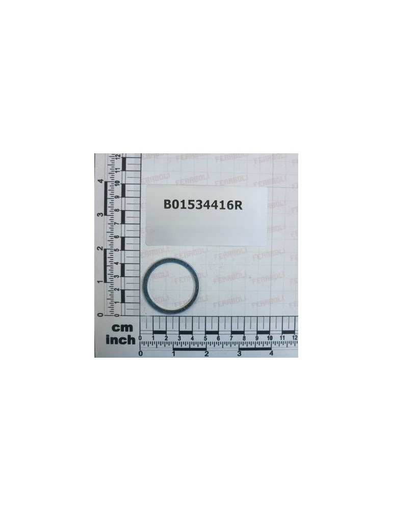 Maschio Gaspardo SPES. 35 43 1 (ZINCATO) B01534416R