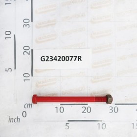 BOLT M 20X265