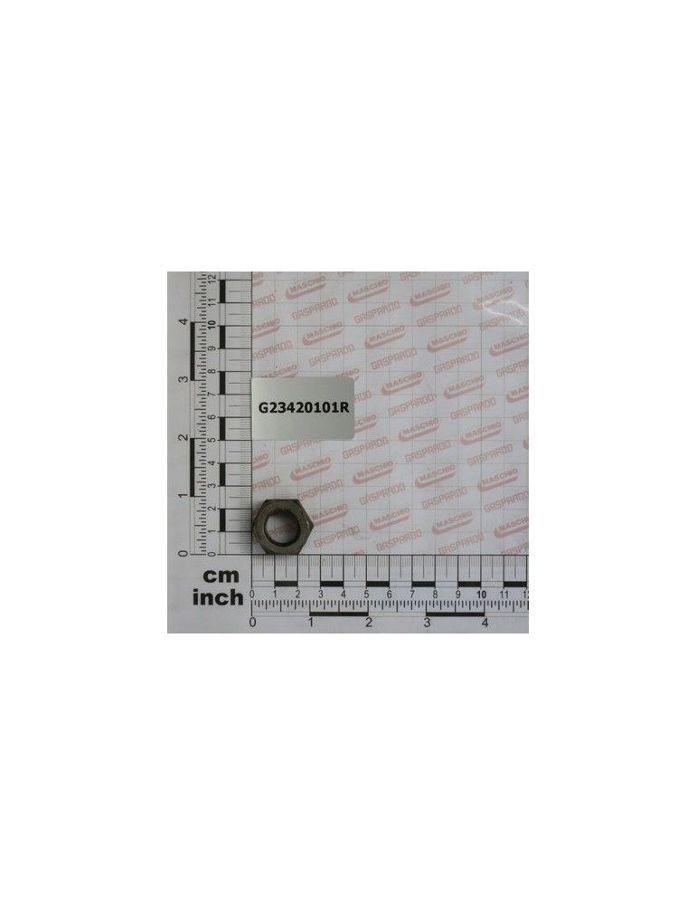 FLAT NUT M16