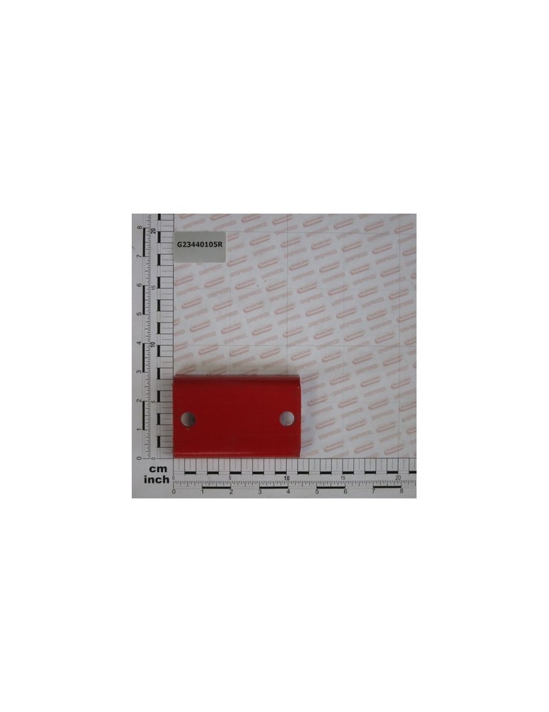 STRIKER PLATE- CENTRAL SPRING