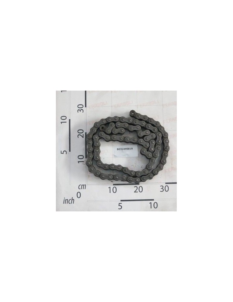 Maschio Gaspardo CATENA RULLIï¾´ï¾´Aï¾´ï¾´ ASA80 H 81M B0314H081R