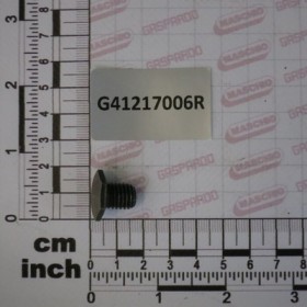 BOLT 10X12 8.G