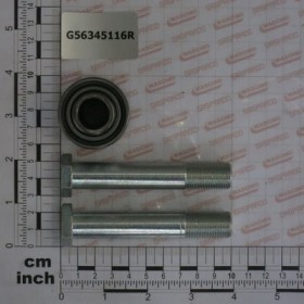 CYL. ROL. BEARING 40XL48 K098
