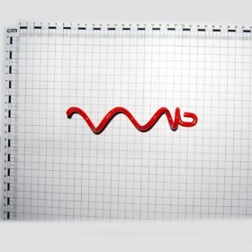 SPEC. WORM SCREW SPRING LEFT M