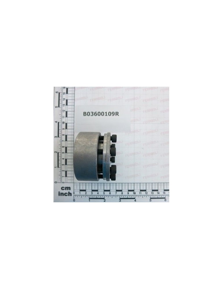 Maschio Gaspardo Bucsa 8F 40-65 B03600109R