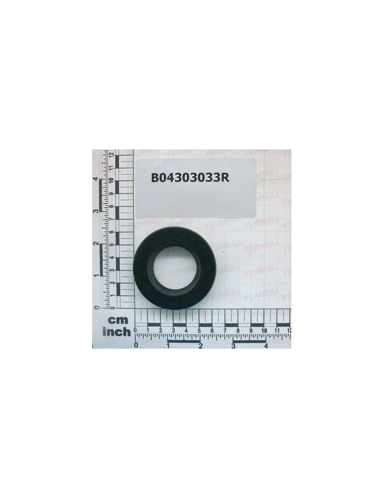 Maschio Gaspardo ANELLO TENUTA 35X 62X10 NORM B04303033R