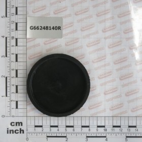 PAINTED GUARD PLUG SP