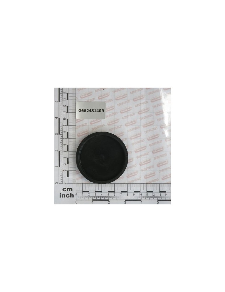 PAINTED GUARD PLUG SP