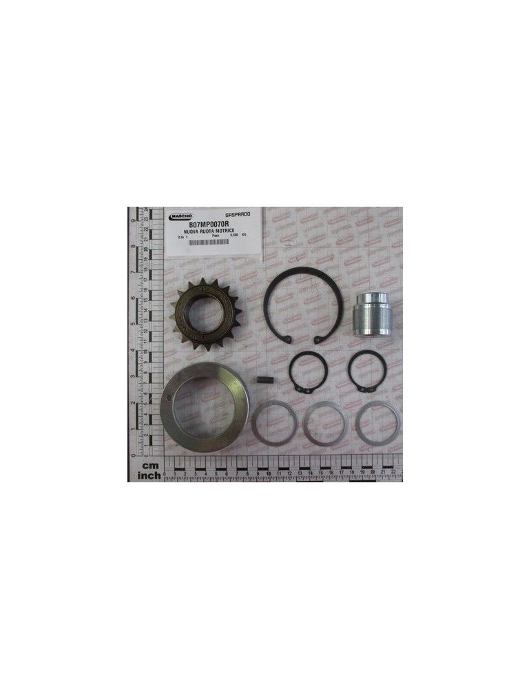 Maschio Gaspardo NUOVA RUOTA MOTRICE B07MP0070R