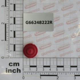 MAN. SPR..COVER PLUG D.15-5