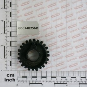 ROLLER- COMBINED TOOTH MG