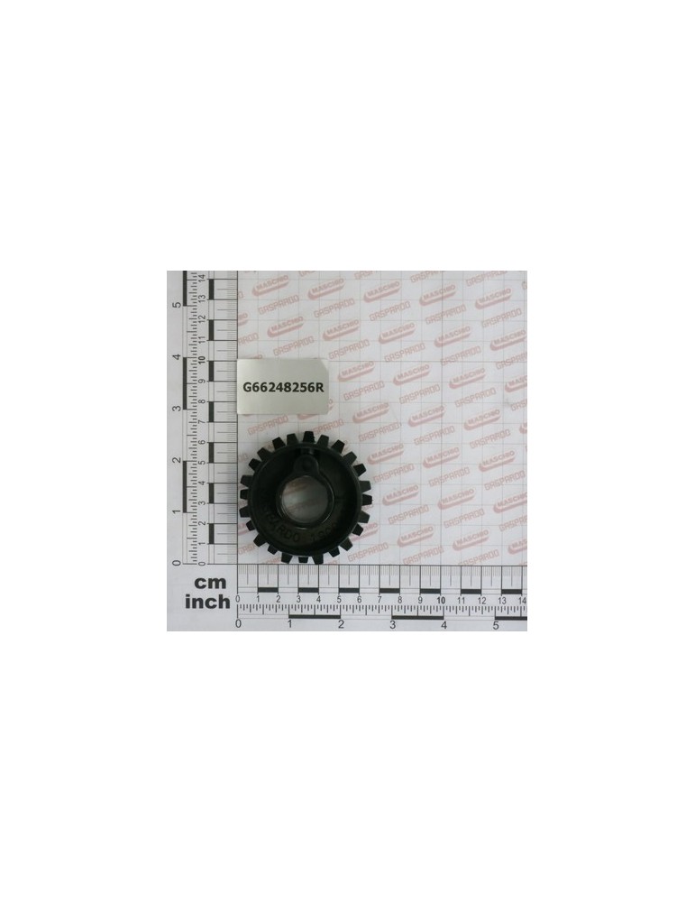 ROLLER- COMBINED TOOTH MG