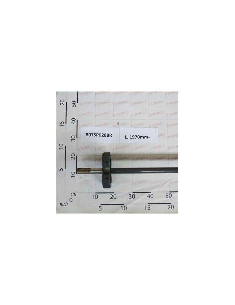 Maschio Gaspardo CORP CULEGATOR M B07SP0288R