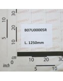 Maschio Gaspardo COLT. B07U00005R