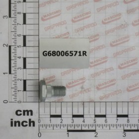 BOLT M10X19 DCRT320