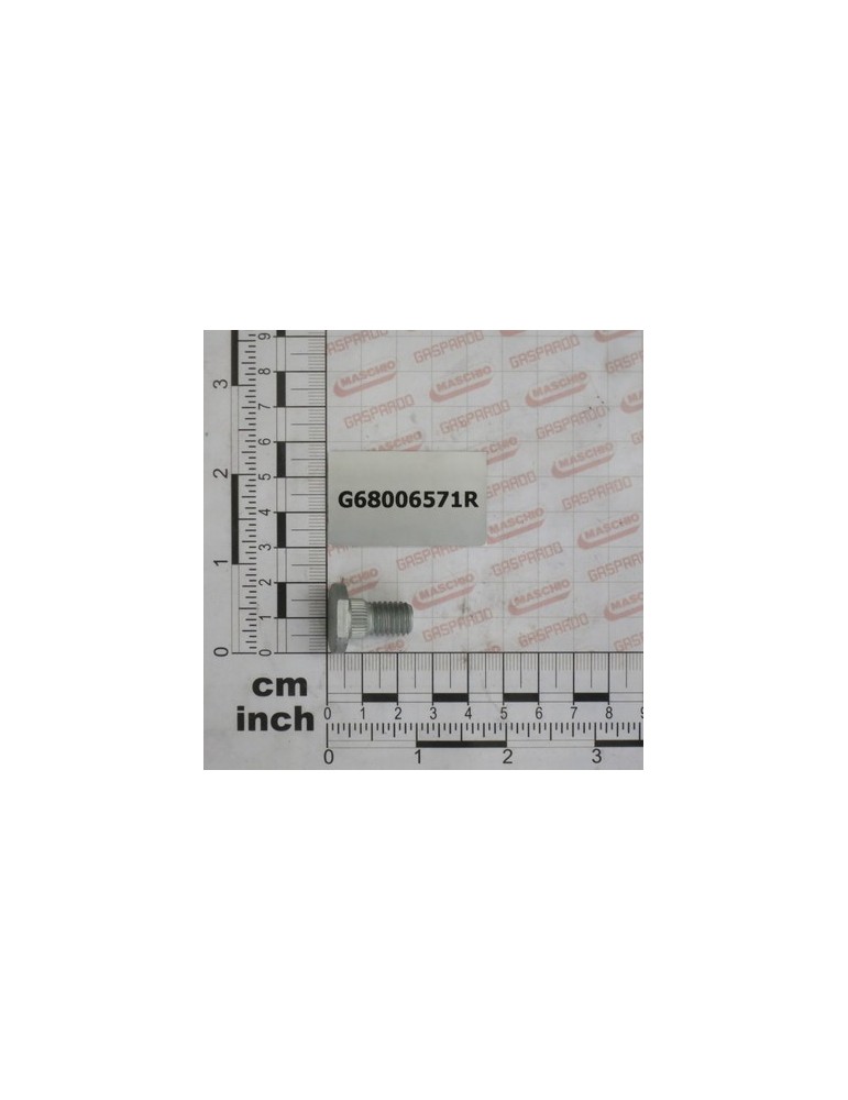 BOLT M10X19 DCRT320