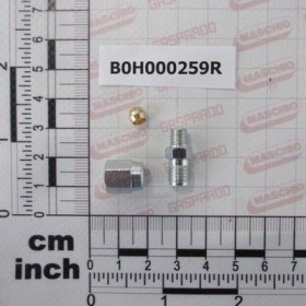 Maschio Gaspardo RACCORDO M6X1 COMPLETO B0H000259R