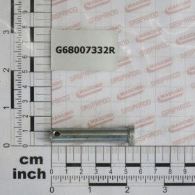 GALVANIZED PIN D.10