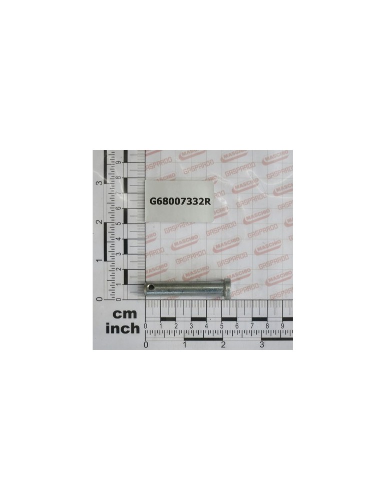 GALVANIZED PIN D.10