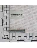 GALVANIZED PIN D.10