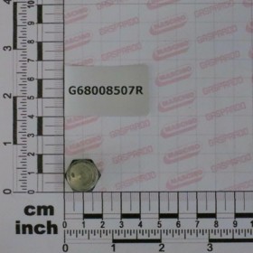 OIL DRAIN PLUG