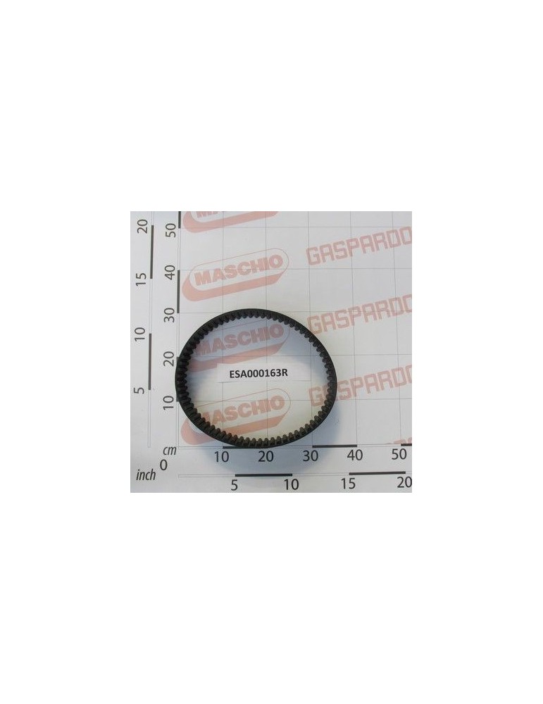 Maschio Gaspardo CINGHIA ESA000163R