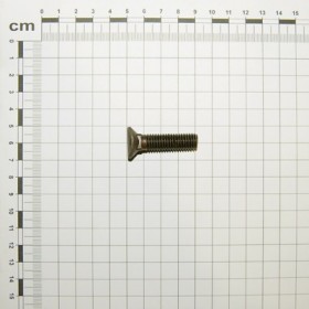 K440048 SCREW 10X40 TQST