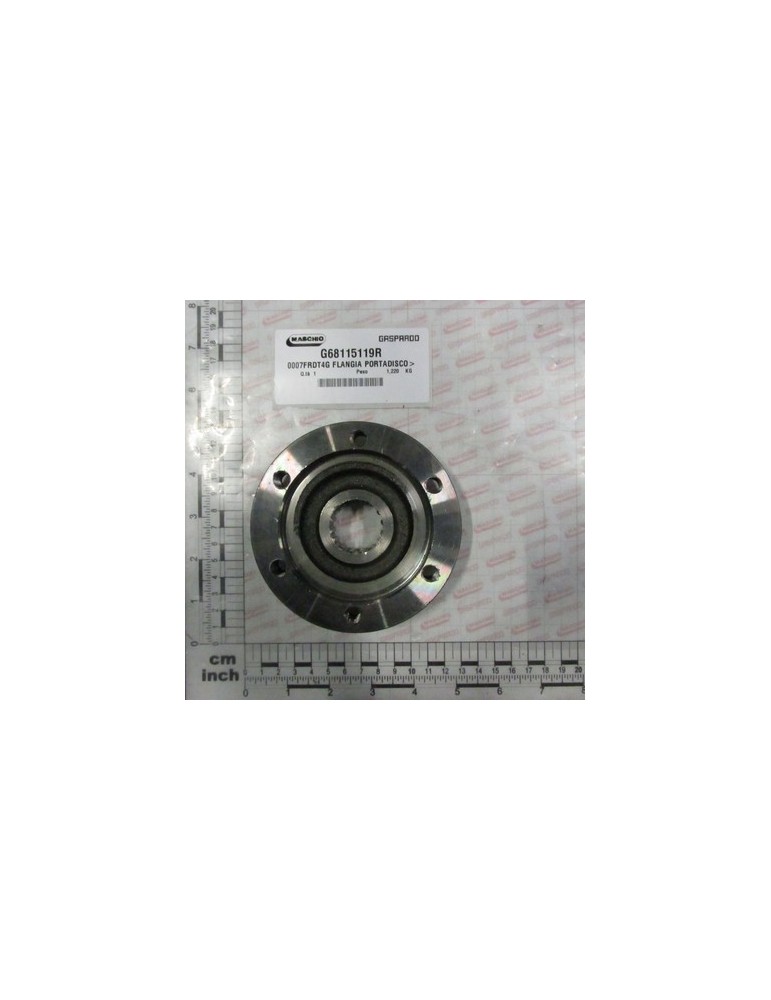0007FRDT4G FLANGE DISK DOOR