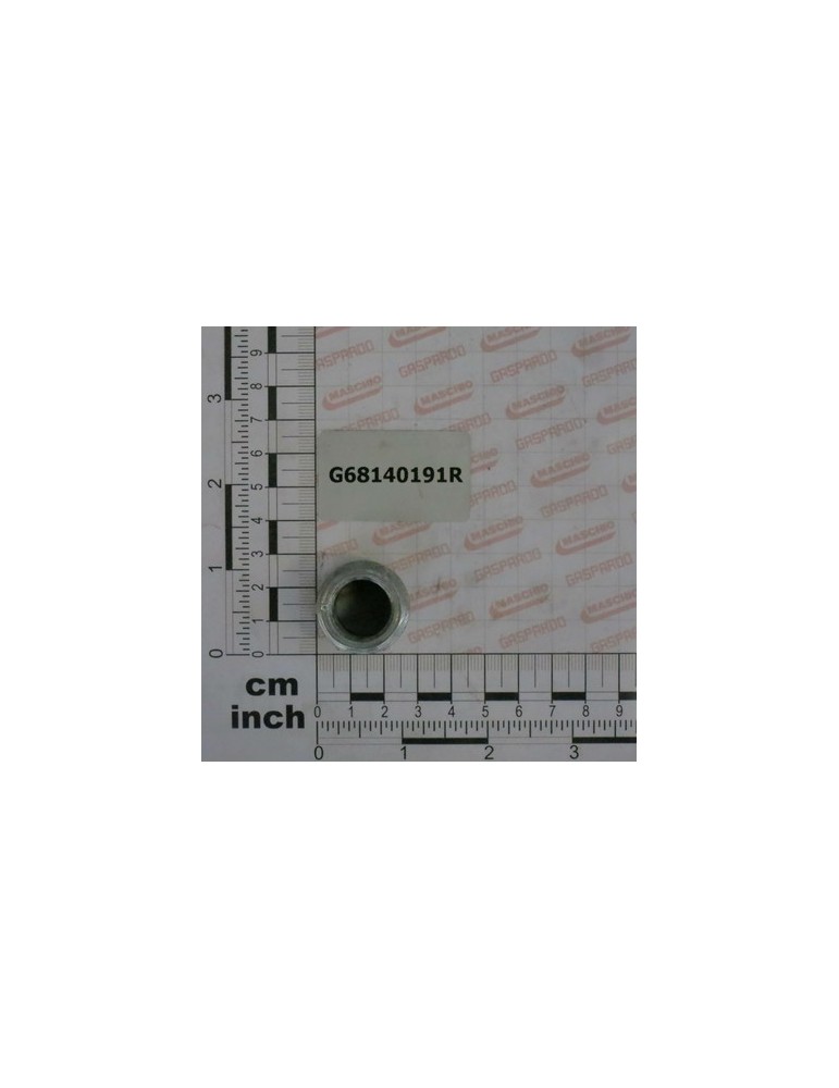 NUTS M18