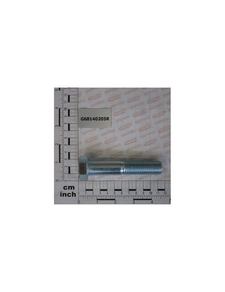 SCREW M20X100
