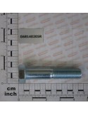 SCREW M20X100