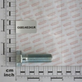 SCREW M20X60