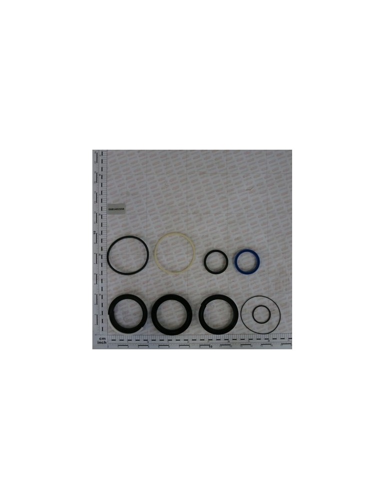KIT GASKET JACK 50X100 C700