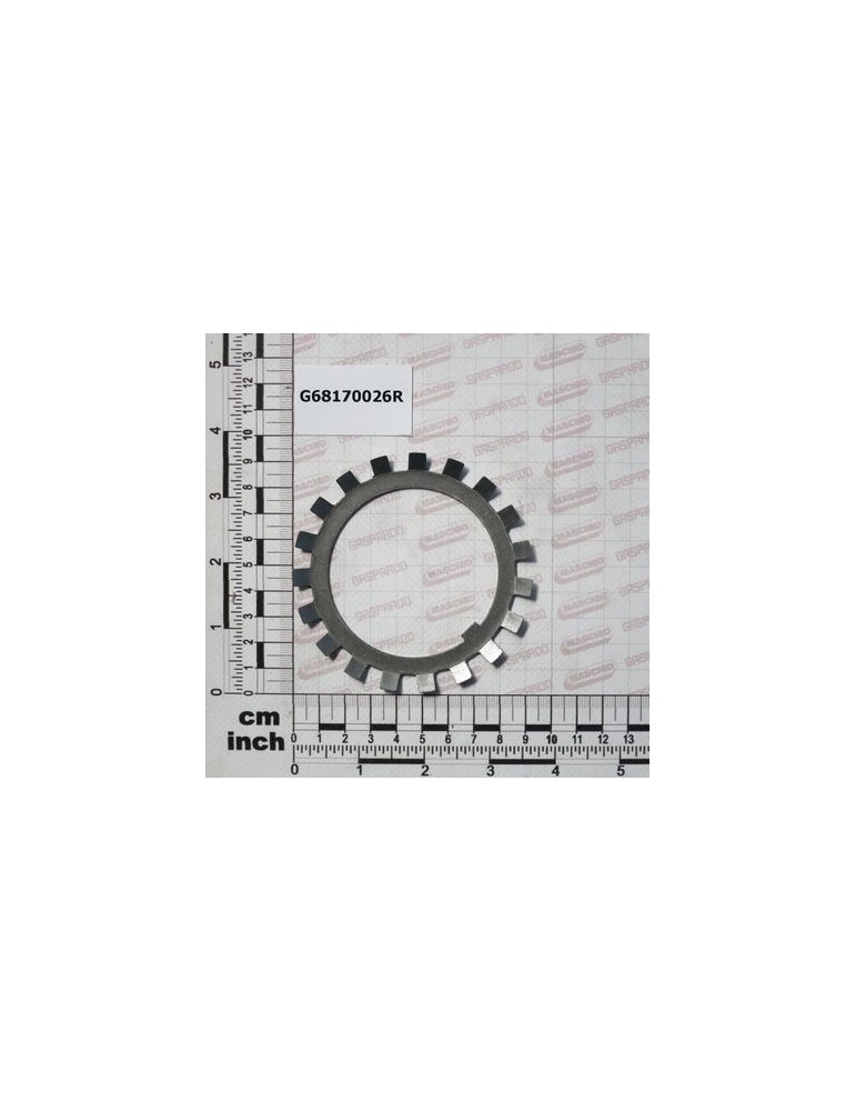 LOCKING WASHER