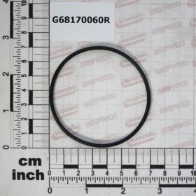 O-RING 2.50X65