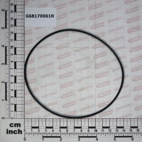 O-RING 2.62X126