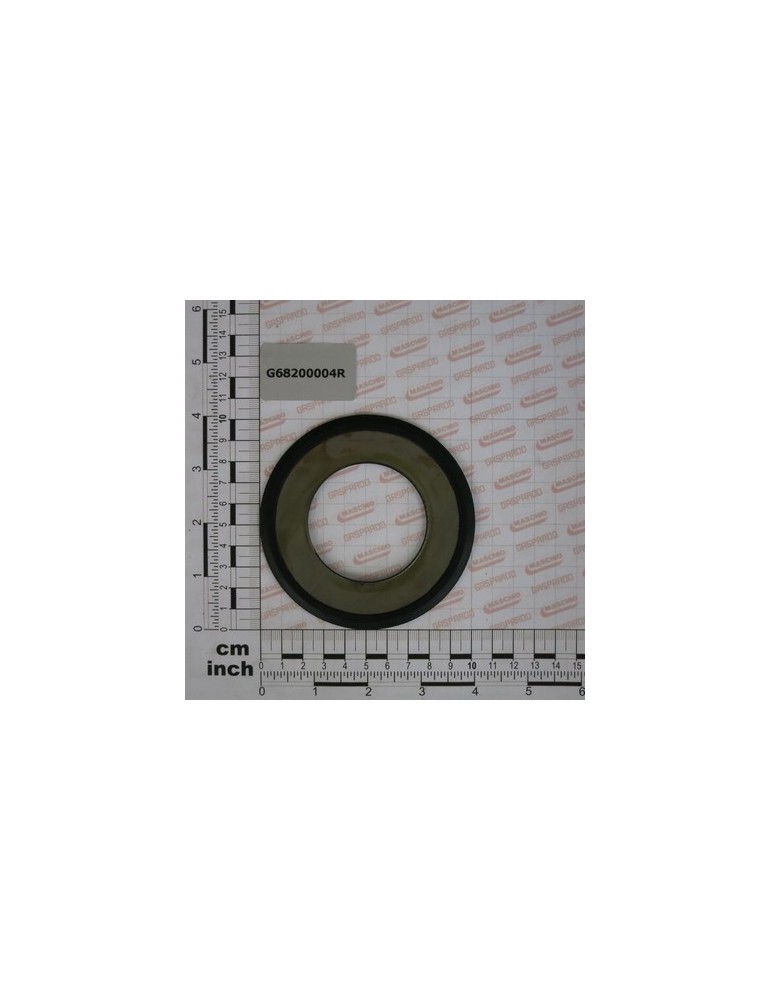 GREASE GASKET 055/100