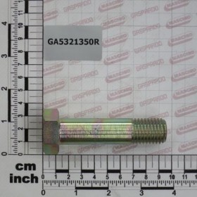 BOLT SPEC.M20X80