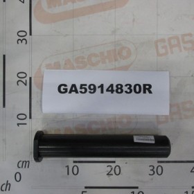 PIN D.50,00X285 NP