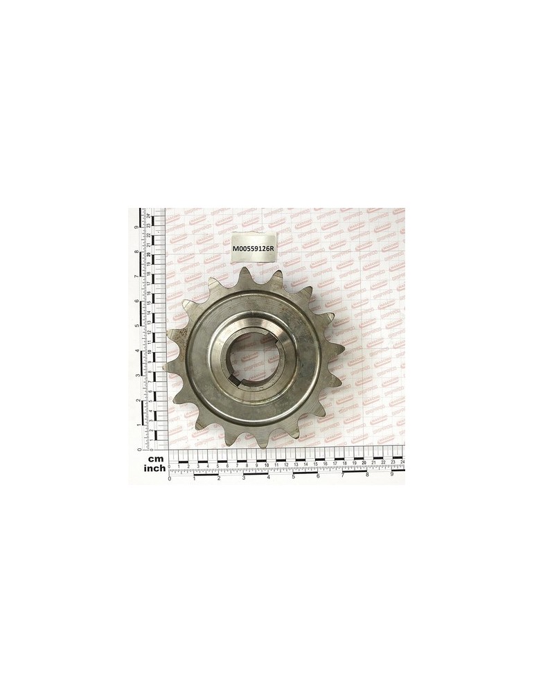 LOWER CHAIN PINION