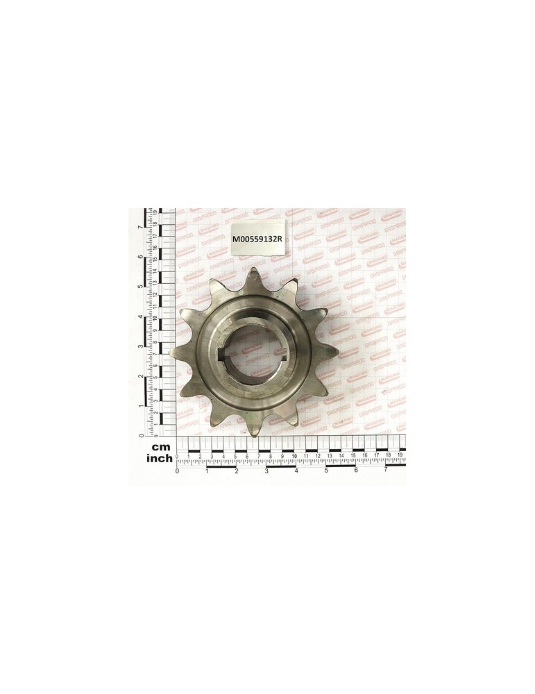 LOWER CHAIN PINION