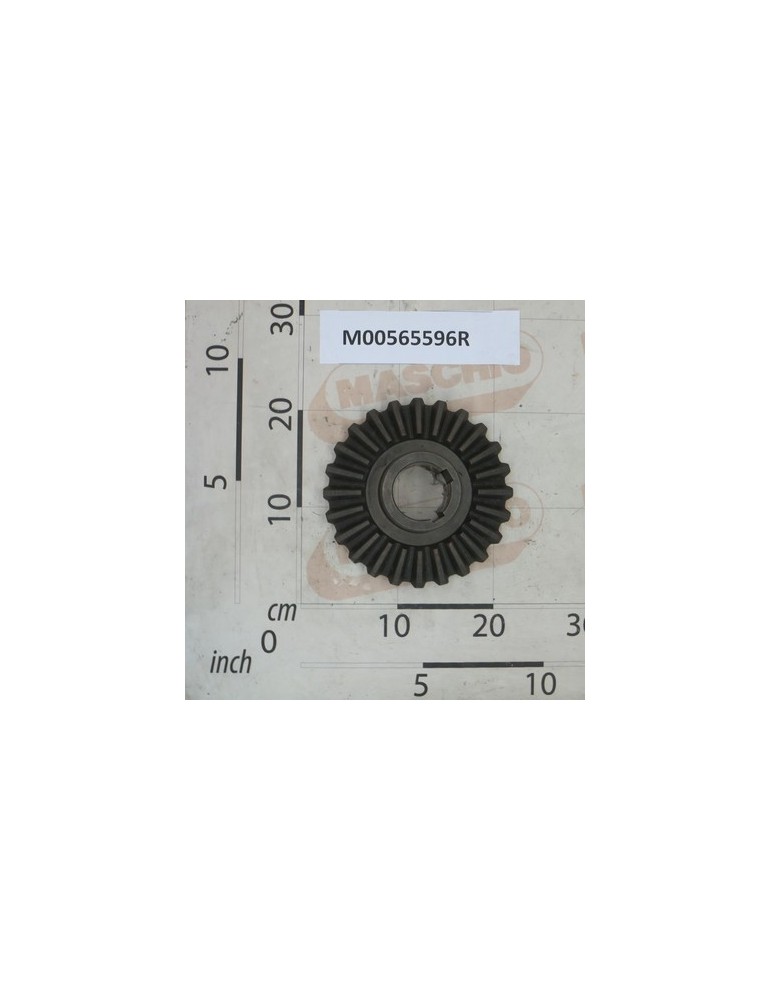 RING BEVEL GEAR